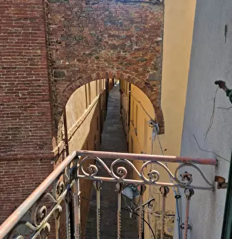 Foto annuncio 28