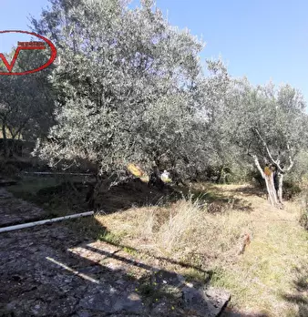 Foto annuncio 17