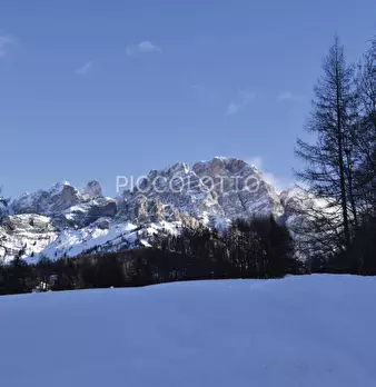 Foto annuncio 5