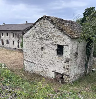 Foto annuncio 7