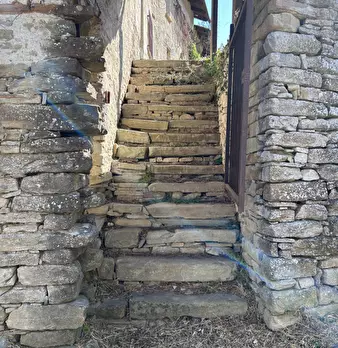 Foto annuncio 8