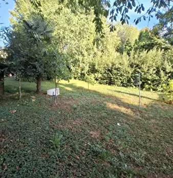Foto annuncio 4