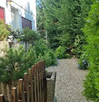Foto annuncio 24