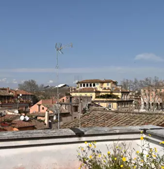 Foto annuncio 55