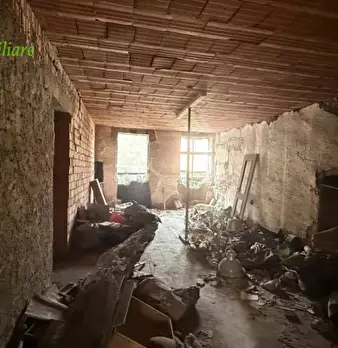 Foto annuncio 11