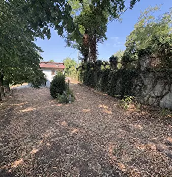Foto annuncio 24
