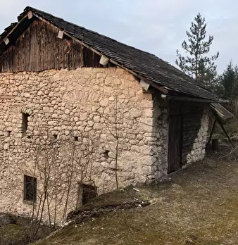 Foto annuncio 5
