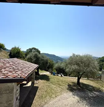 Foto annuncio 16