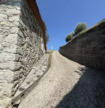 Foto annuncio 20