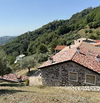 Foto annuncio 33