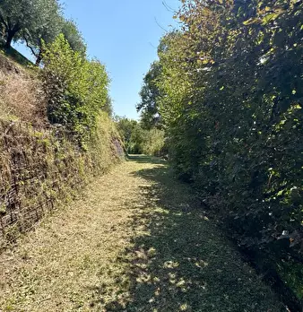 Foto annuncio 36
