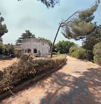 Foto annuncio 2