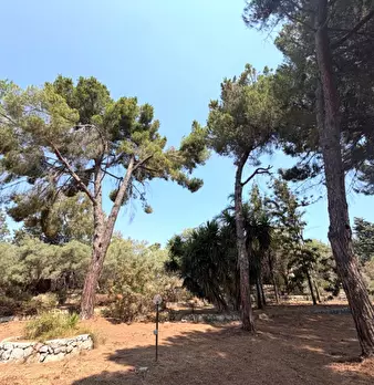 Foto annuncio 4