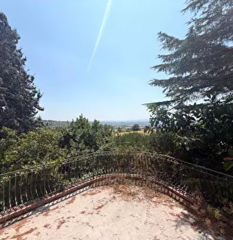 Foto annuncio 29