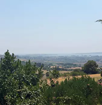 Foto annuncio 30