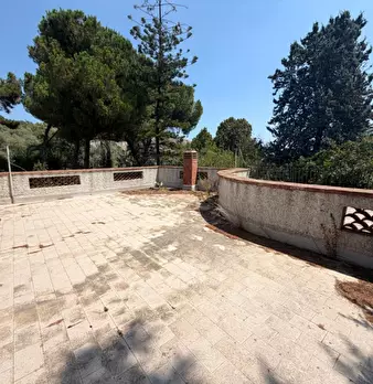 Foto annuncio 32