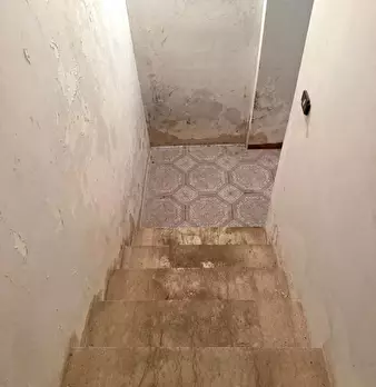 Foto annuncio 44