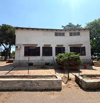 Foto annuncio 58