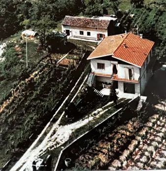 Foto annuncio 1