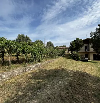 Foto annuncio 3