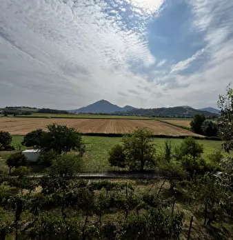 Foto annuncio 30