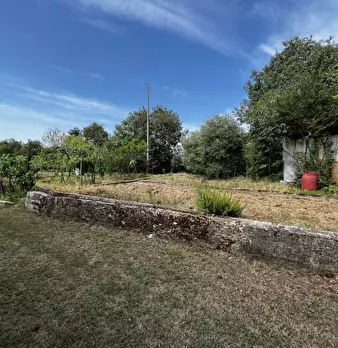 Foto annuncio 33