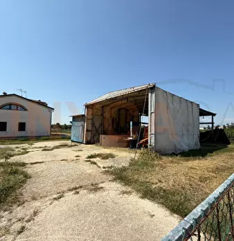 Foto annuncio 5