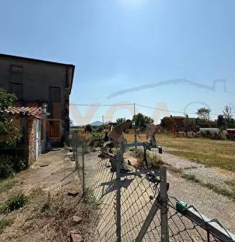 Foto annuncio 35