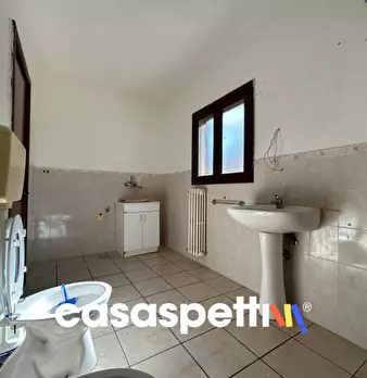 Foto annuncio 16