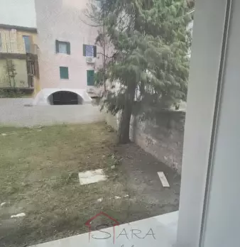 Foto annuncio 12