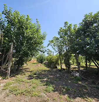 Foto annuncio 19