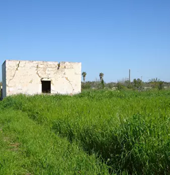 Foto annuncio 6