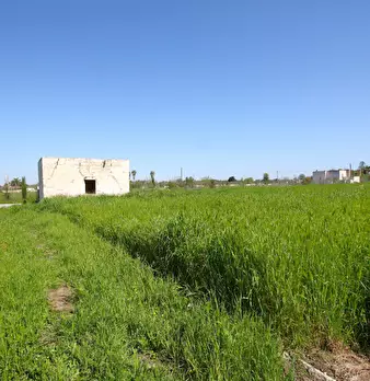 Foto annuncio 7
