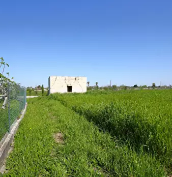 Foto annuncio 9