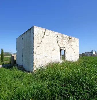 Foto annuncio 18