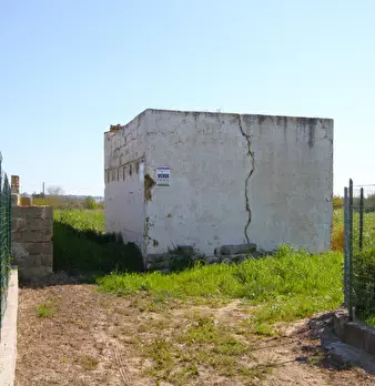Foto annuncio 19