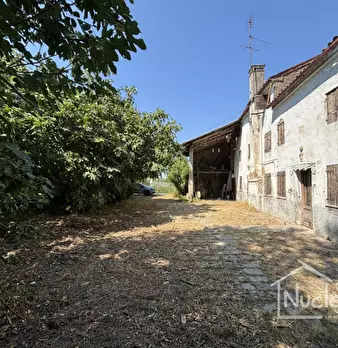 Foto annuncio 7