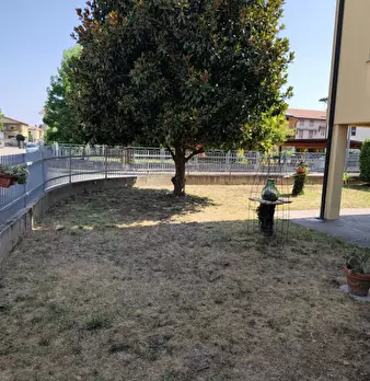 Foto annuncio 19