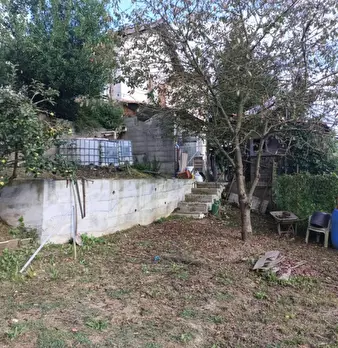 Foto annuncio 12