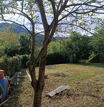 Foto annuncio 13