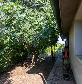 Foto annuncio 9