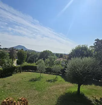 Foto annuncio 5