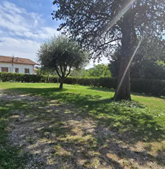 Foto annuncio 6