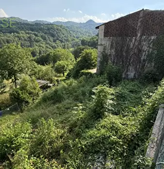 Foto annuncio 14