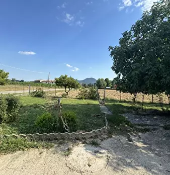 Foto annuncio 3