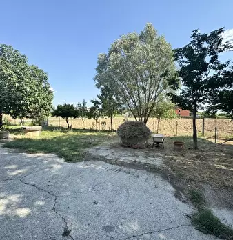 Foto annuncio 16