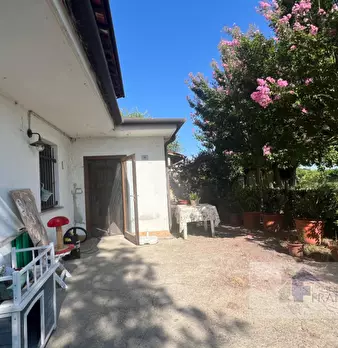 Foto annuncio 5