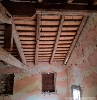 Foto annuncio 67