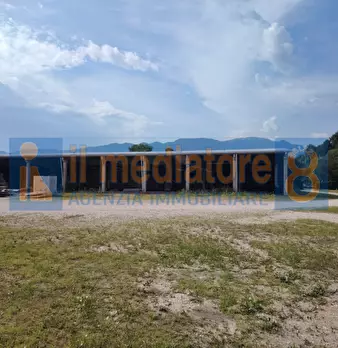 Foto annuncio 6