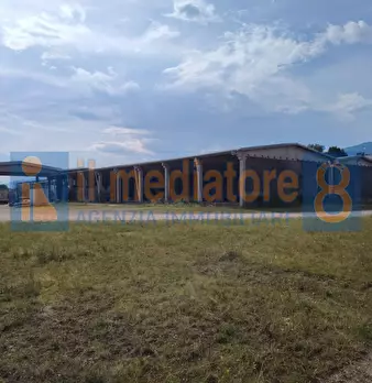 Foto annuncio 8